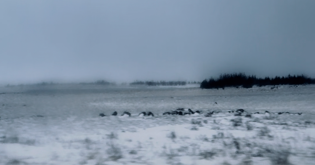 關於蒼茫的想像